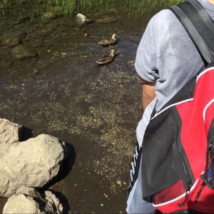 Meet your Posher, Andrew